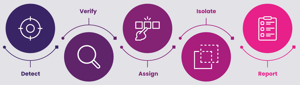NAC process: detect, verify, assign, isolate and report